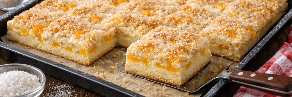 Blechkuchen - Kokos-Mandarinen-Kuchen