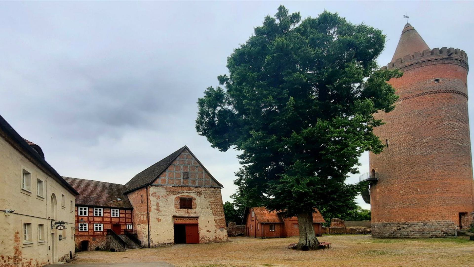 Ansicht von der Burg Stargard