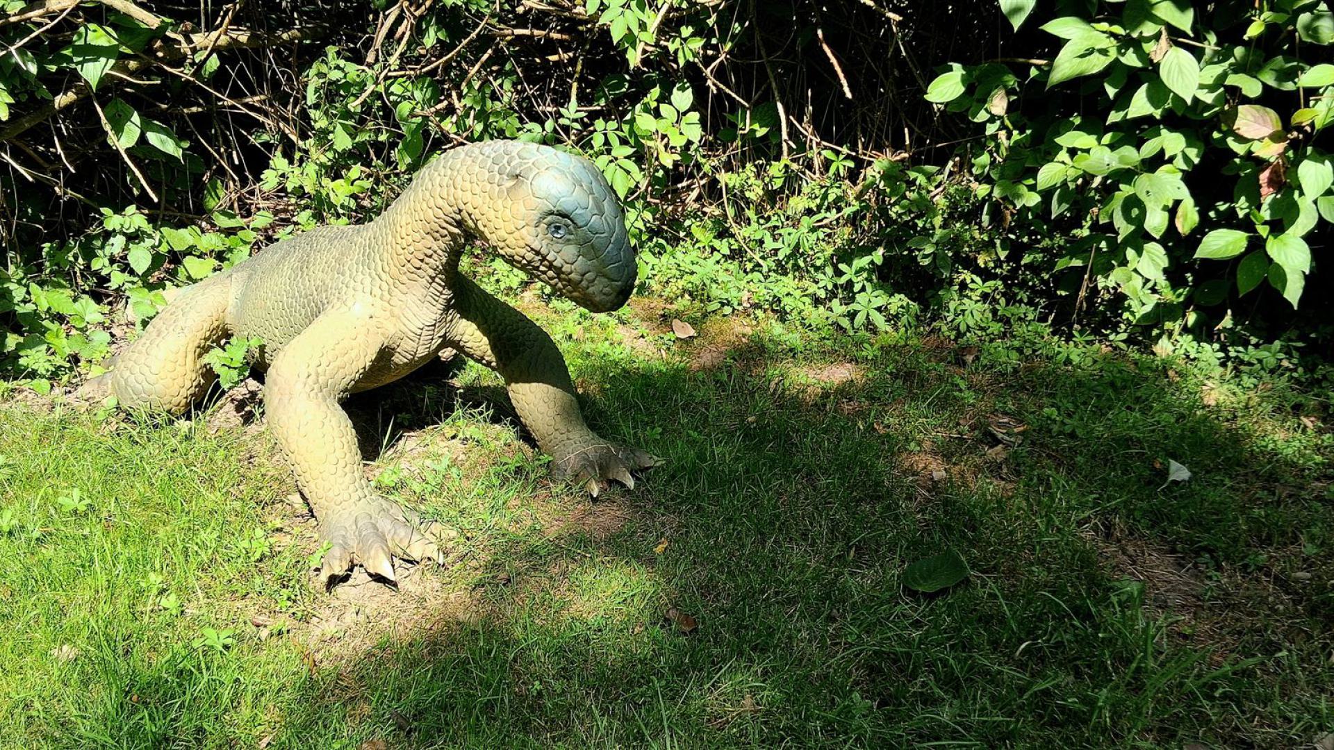 Dinosaurier aus dem Dinosaurierpark Rügen