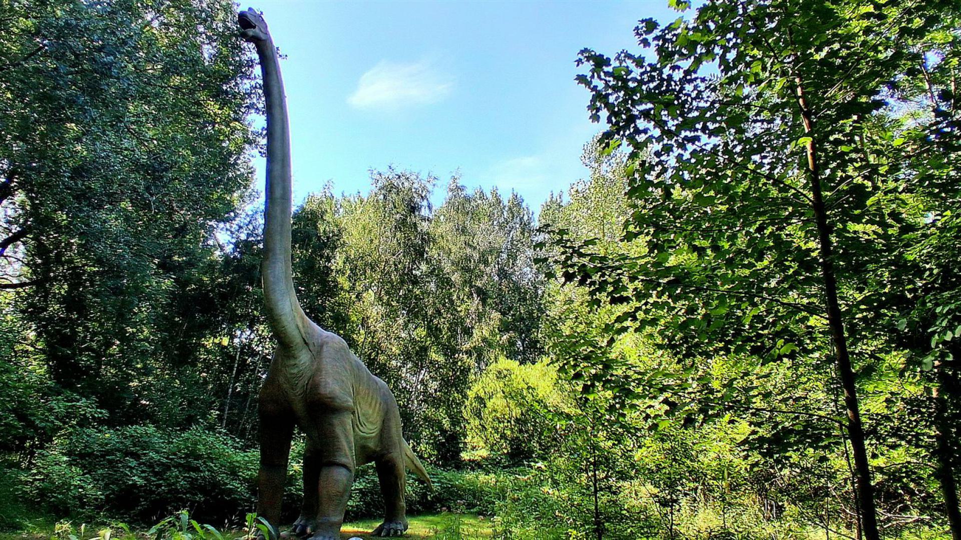 Dinosaurier aus dem Dinosaurierpark Rügen