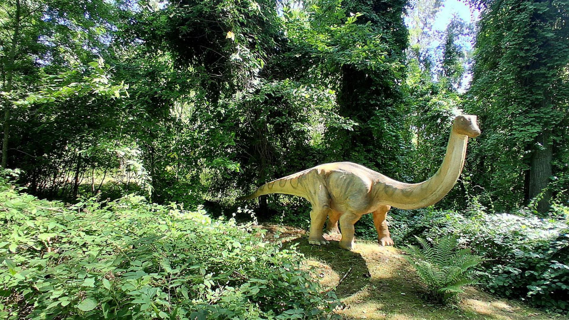 Dinosaurier aus dem Dinosaurierpark Rügen