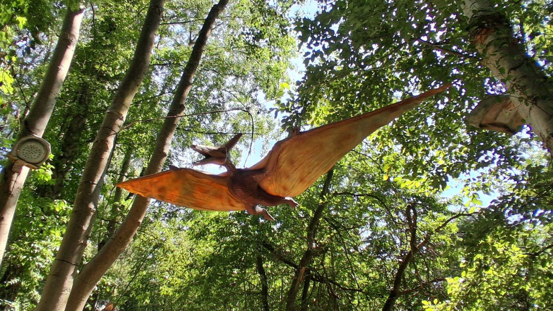 Dinosaurier aus dem Dinosaurierpark Rügen