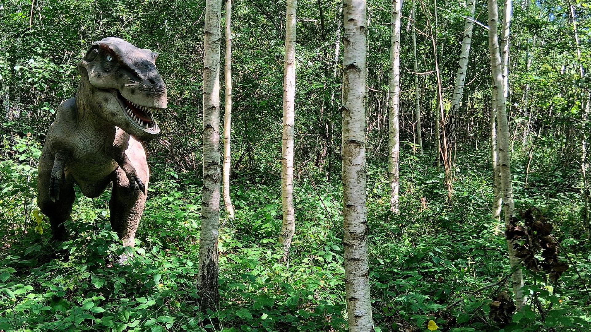 Dinosaurier aus dem Dinosaurierpark Rügen