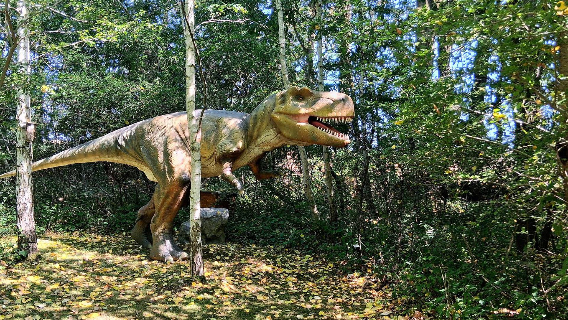 Dinosaurier aus dem Dinosaurierpark Rügen