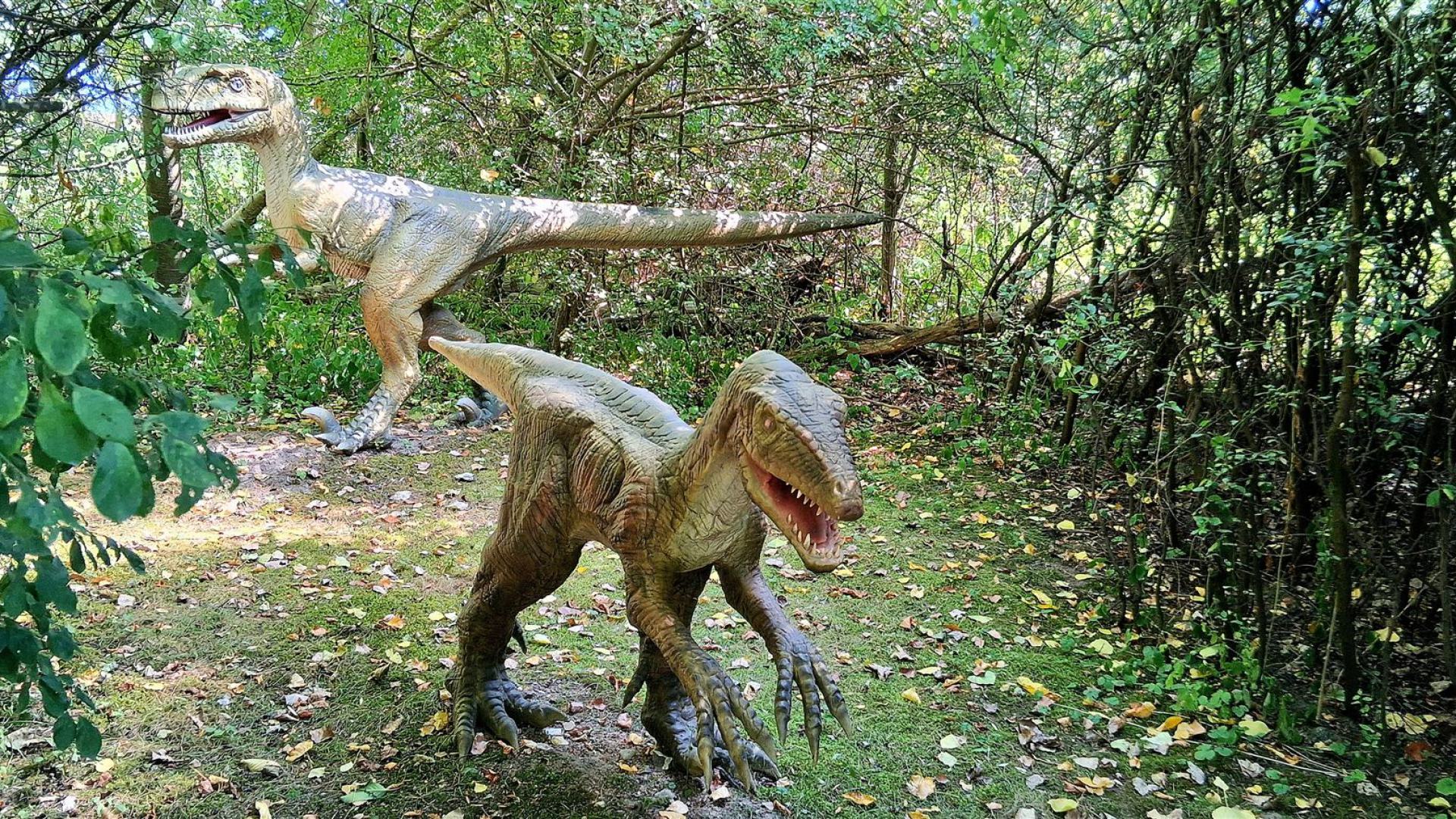 Dinosaurier aus dem Dinosaurierpark Rügen