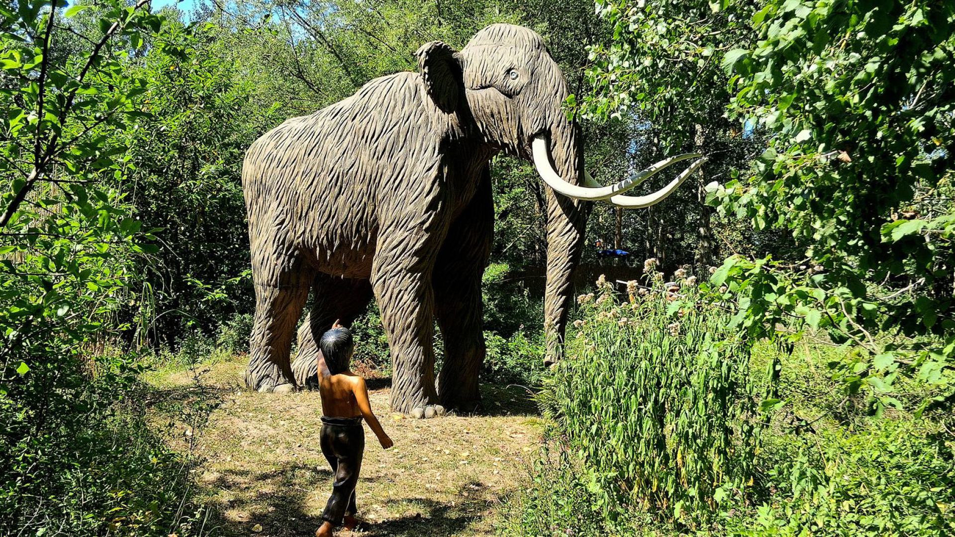 Dinosaurier aus dem Dinosaurierpark Rügen