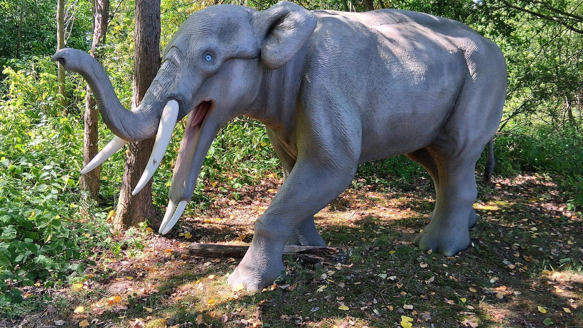 Dinosaurier aus dem Dinosaurierpark Rügen