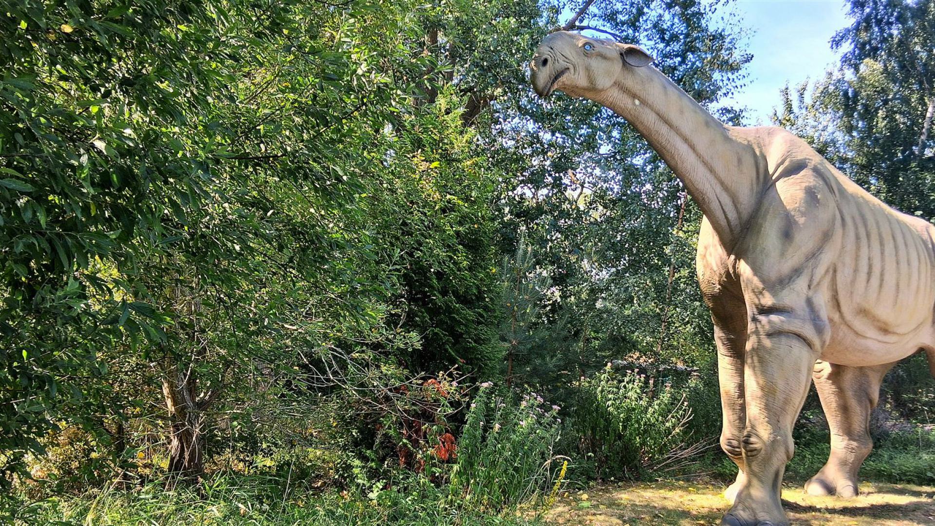 Dinosaurier aus dem Dinosaurierpark Rügen