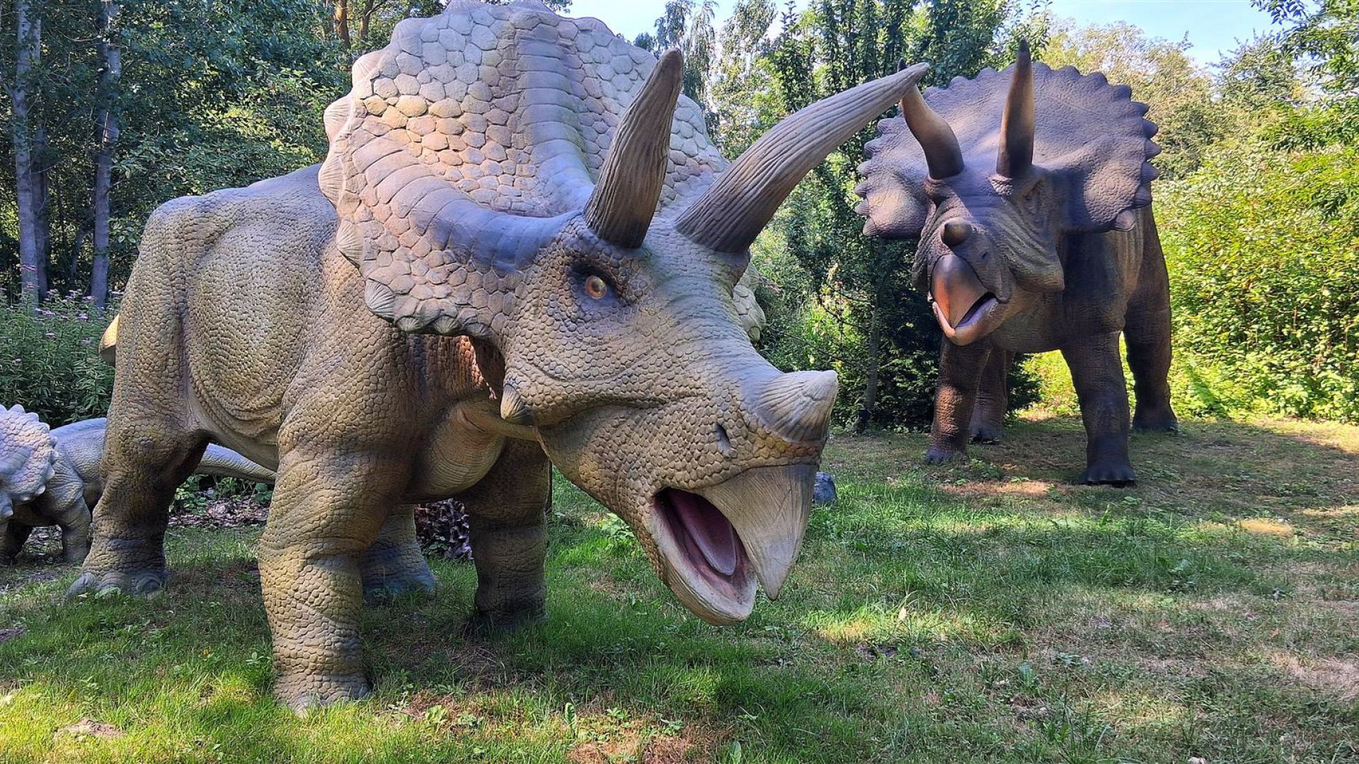 Dinosaurier aus dem Dinosaurierpark Rügen