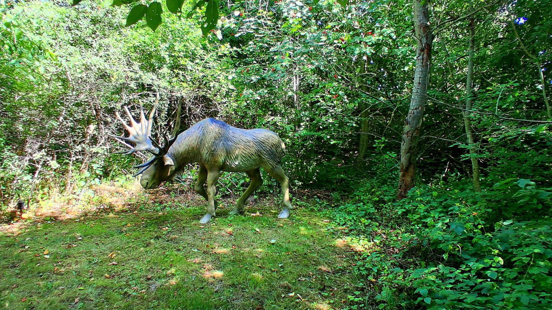 Dinosaurier aus dem Dinosaurierpark Rügen