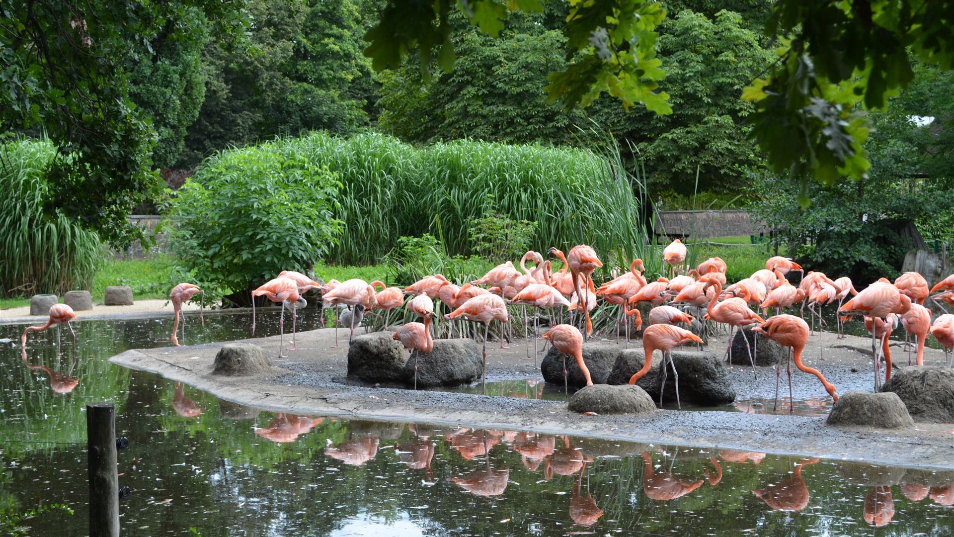 Tierpark Dresden