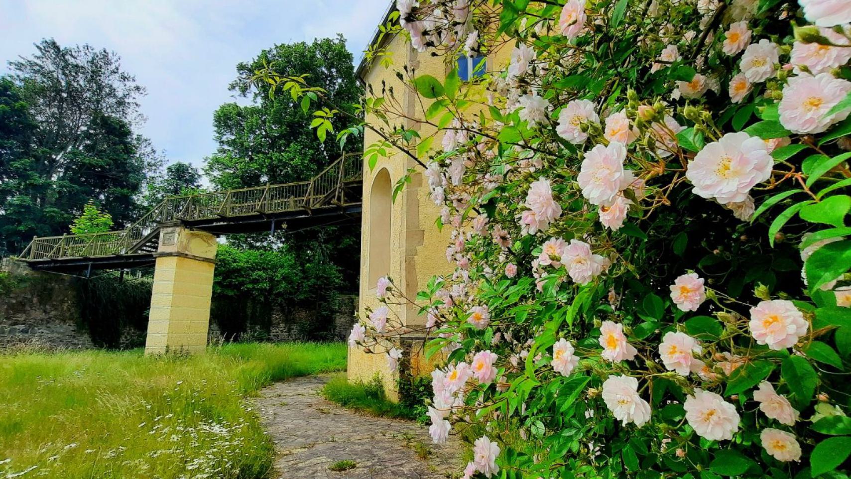 Ansicht des Schlosses Schleinitz