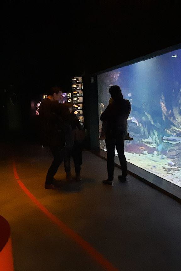 Ansicht aus dem Ozeaneum Stralsund