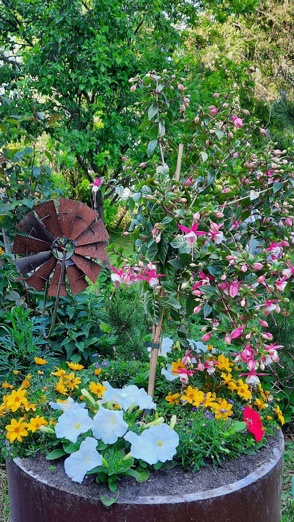 Pflanzkübel mit bunten Blumen