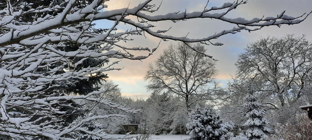 weihnachtsliche Stimmung mit Schnee auf unserem Hof
